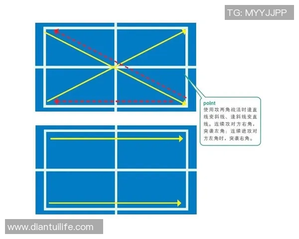 广州乒乓球队在锦标赛中的战术分析与表现评估 广州乒乓球队在锦标赛中的战术分析与表现评估