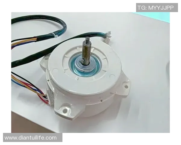 李芳独家分享篮球心得与技巧助你提升球技的全面指南