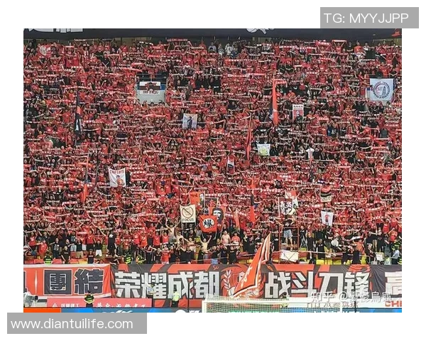 成都网球队实力引发热议球迷对其表现和未来发展展开激烈讨论