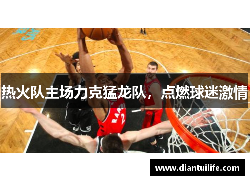 热火队主场力克猛龙队，点燃球迷激情