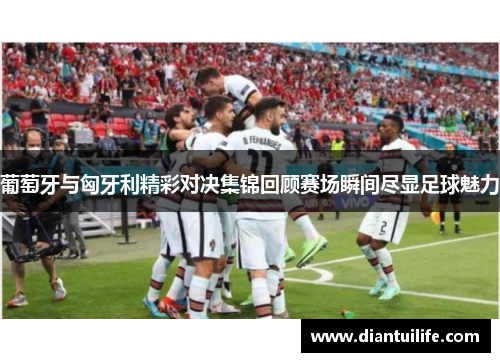葡萄牙与匈牙利精彩对决集锦回顾赛场瞬间尽显足球魅力